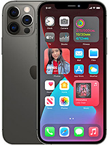 OtterBox iPhone 12 Pro